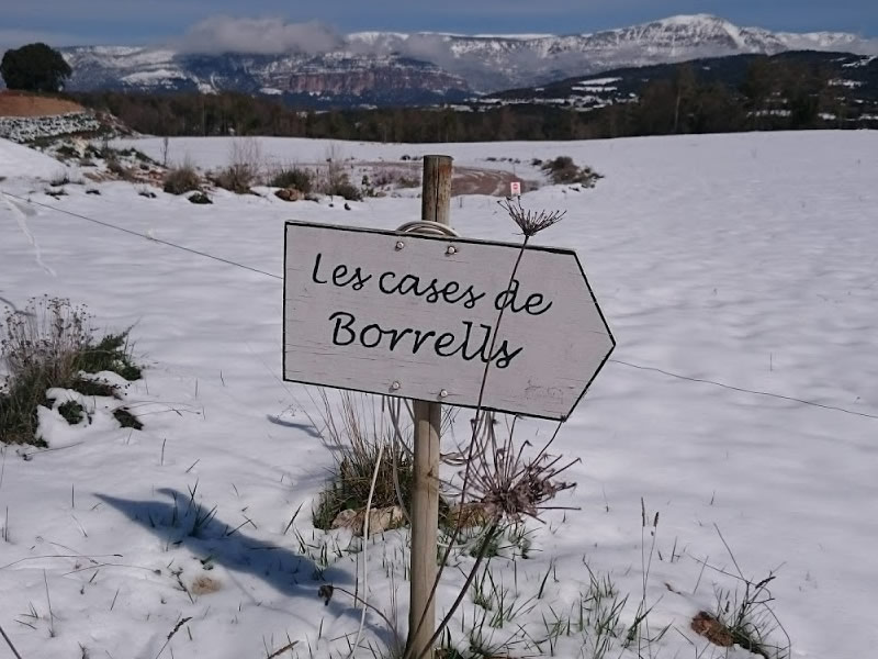 Les Cases de Borrells Flora i fauna